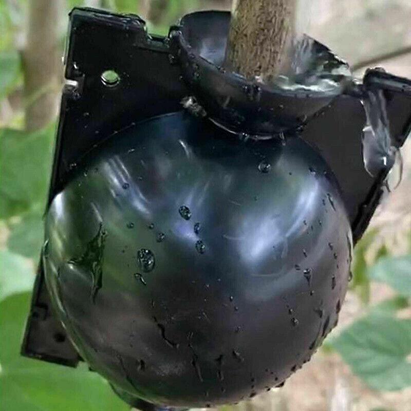 Gardening Accessories: 10Pcs Plant Rooting Ball High Pressure Propagation Box Grafting Breeding Device - S-5CM-10PCS
