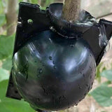 10Pcs Plant Rooting Ball High Pressure Propagation Box Grafting Breeding Device - S-5CM-10PCS