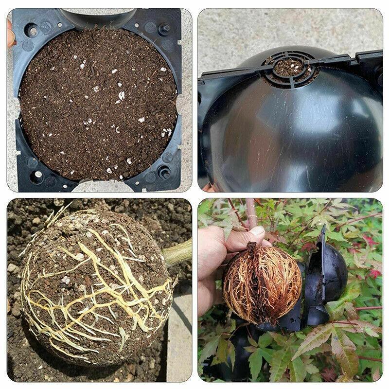 Gardening Accessories: 10Pcs Plant Rooting Ball High Pressure Propagation Box Grafting Breeding Device - S-5CM-10PCS
