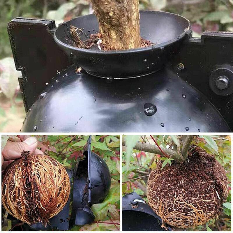 Gardening Accessories: 10Pcs Plant Rooting Ball High Pressure Propagation Box Grafting Breeding Device - S-5CM-10PCS