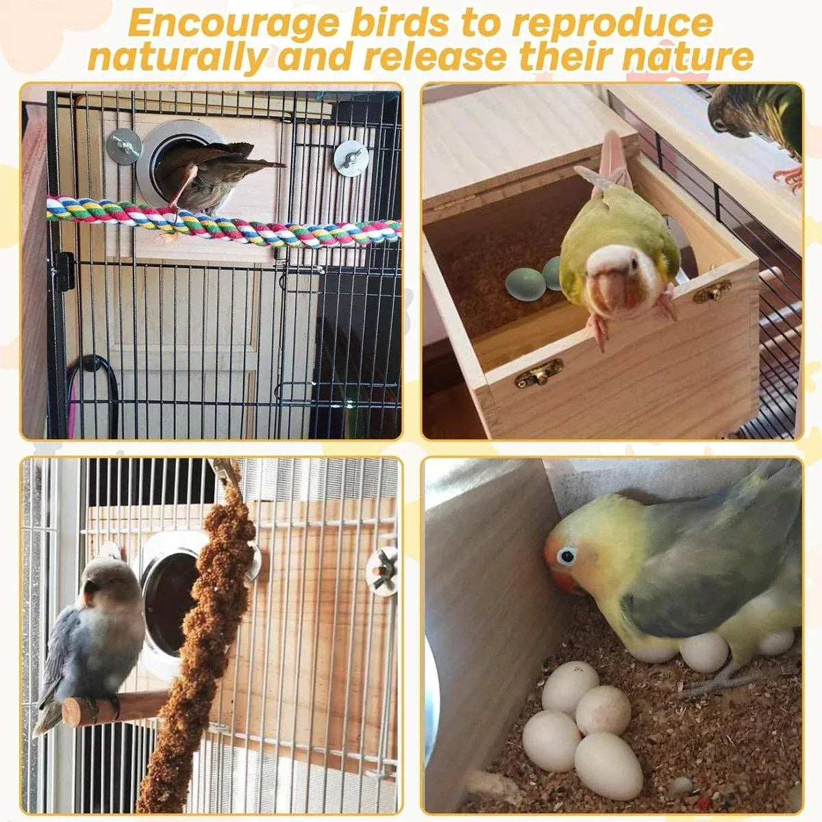 1-Piece Bird Breeding Nest Box with Perch and Mounting Fittings