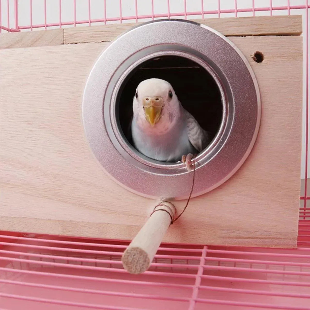 1-Piece Bird Breeding Nest Box with Perch and Mounting Fittings