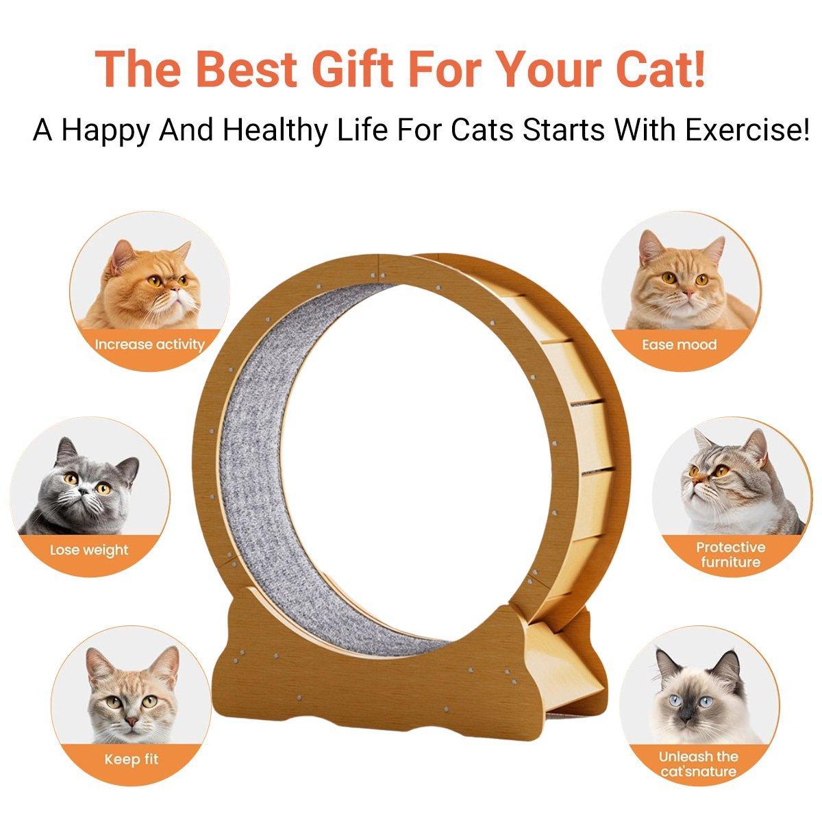 Cat Furniture: Cat Exercise Wheel Toy Furniture Running Treadmill Exerciser Scratcher Board