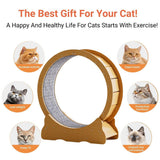 Cat Furniture: Cat Exercise Wheel Toy Furniture Running Treadmill Exerciser Scratcher Board