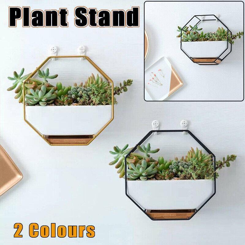 Aquarium Decor: Wall Hanging Succulent Planter Pot Indoor Outdoor Flower Plant Vase Garden Decor - Gold