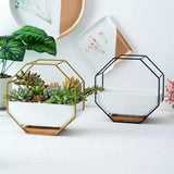 Aquarium Decor: Wall Hanging Succulent Planter Pot Indoor Outdoor Flower Plant Vase Garden Decor - Gold