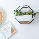 Aquarium Decor: Wall Hanging Succulent Planter Pot Indoor Outdoor Flower Plant Vase Garden Decor - Gold