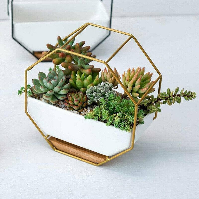 Aquarium Decor: Wall Hanging Succulent Planter Pot Indoor Outdoor Flower Plant Vase Garden Decor - Gold