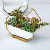 Aquarium Decor: Wall Hanging Succulent Planter Pot Indoor Outdoor Flower Plant Vase Garden Decor - Gold