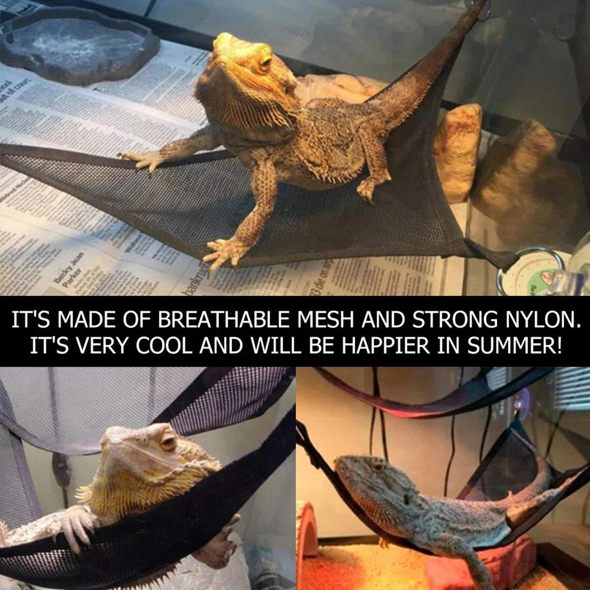 Aquarium Decor: 2x Reptile Hammock for Small Large Bearded Dragon Lizard Reptile Snakes Black - Small