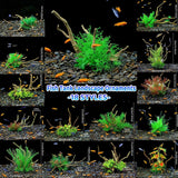 Aquarium Decor: Aquarium Landscaping Decoration Artificial Wood and Plants Fish Tank Ornament - CM1904-Green