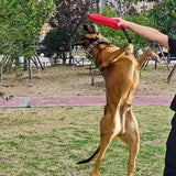 Dog Apparel: Cloth Bite Stick Teether Dog Training Bite Stick Durable Chew Toy for Pets