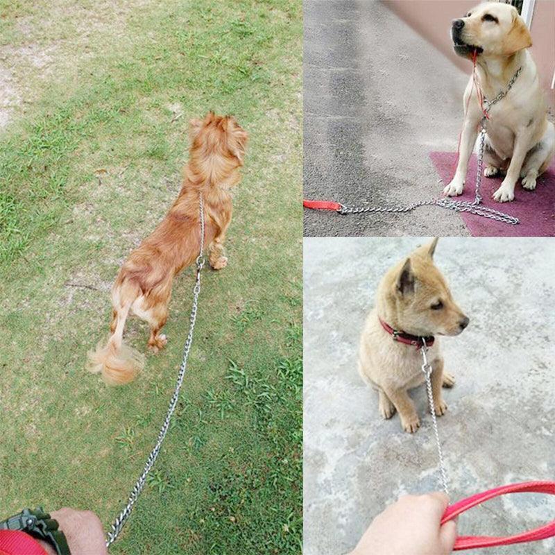 Dog Steps & Ramps: 120Cm Pet Dog Puppy Padded Handle Metal Chain Dog Leash - Red