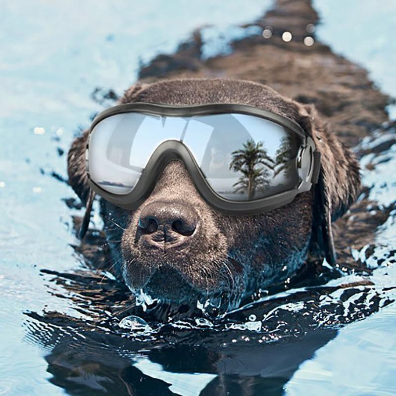 Dog Apparel: Fashion Pet Dog Doggles Goggles Uv Sunglasses Sun Glasses Eye Wear Protection