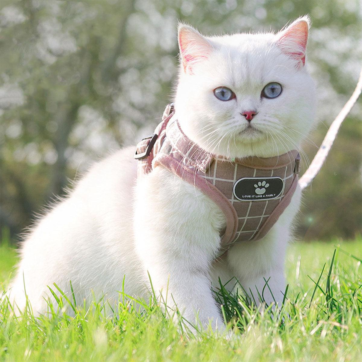 Pink Kitten Dog Cat Walking Harness Lead Leash Collar Pet Vest Mesh Adjustable - M