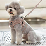 Pet ID Tags: Pink Kitten Dog Cat Walking Harness Lead Leash Collar Pet Vest Mesh Adjustable - M