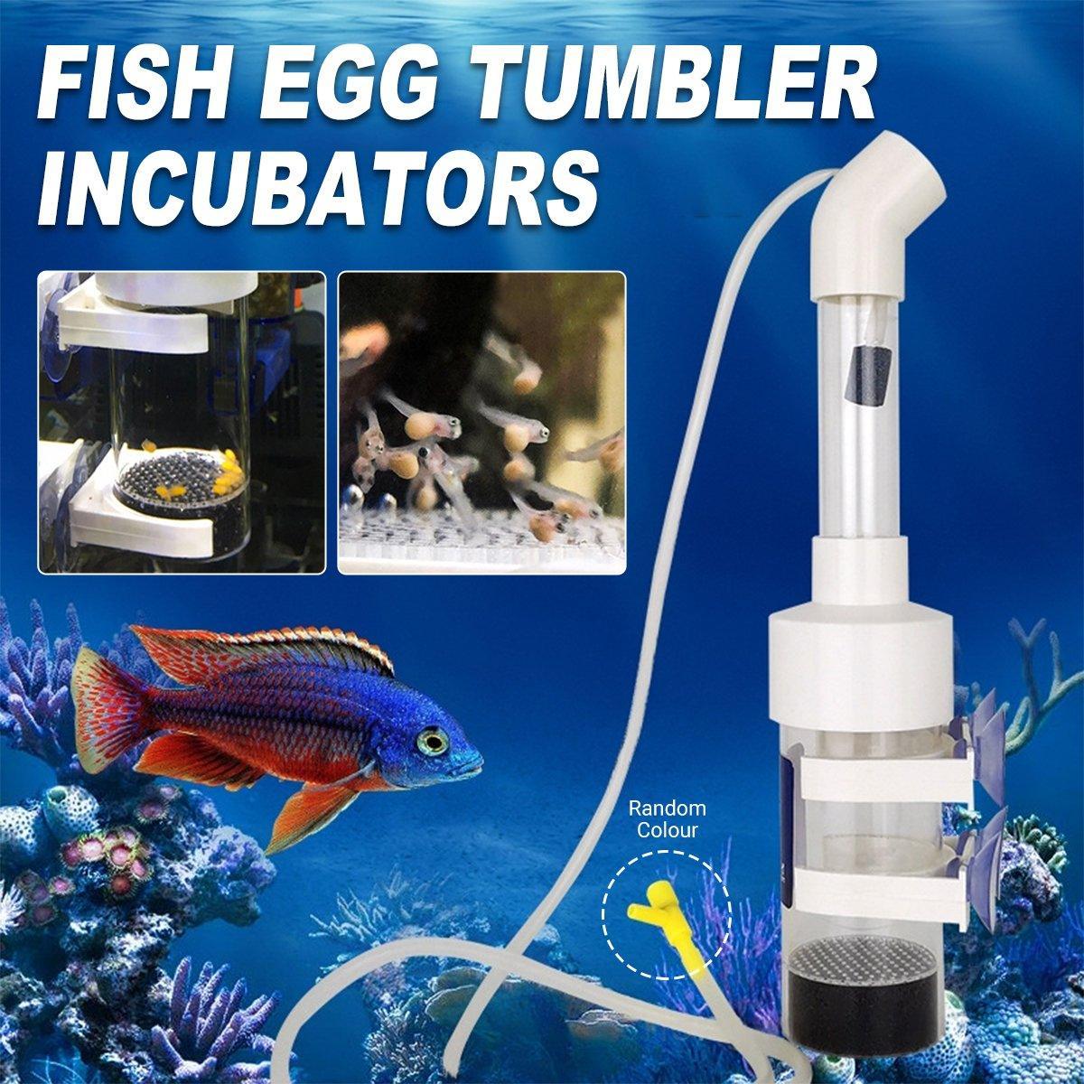 Aquarium Filters & Pumps: Fish Breeding Box for Aquarium Cichlid Catfish Hatchery Tank Accessories