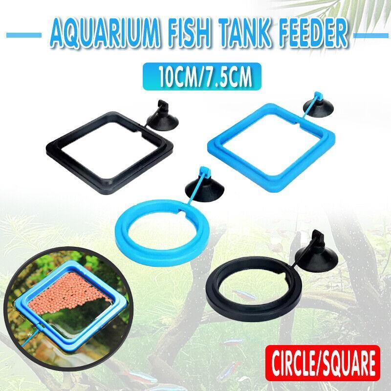 Aquarium Decor: Fish Feeding Ring Aquarium Fish Tank Feeder Floating Fish Food Feeder Fish Food Black - Black Square