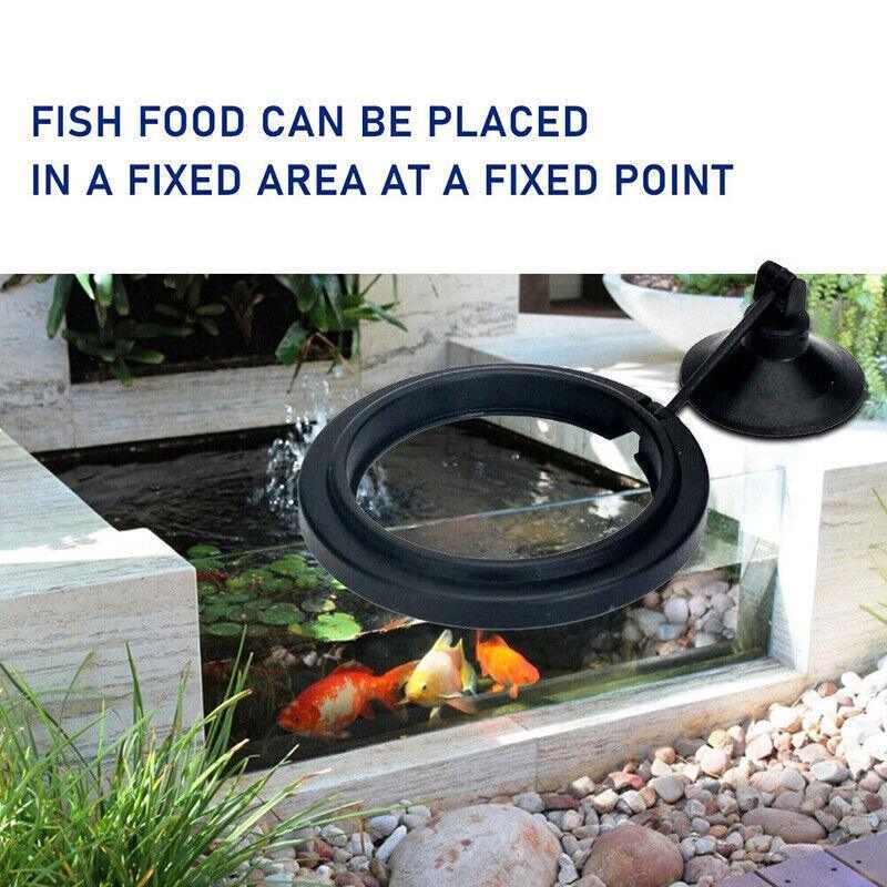 Aquarium Decor: Fish Feeding Ring Aquarium Fish Tank Feeder Floating Fish Food Feeder Fish Food Black - Black Square