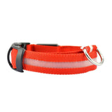 XL Size USB Rechargeable LED Dog Collar Nylon Glow Flashing Light Up Gear - Orange