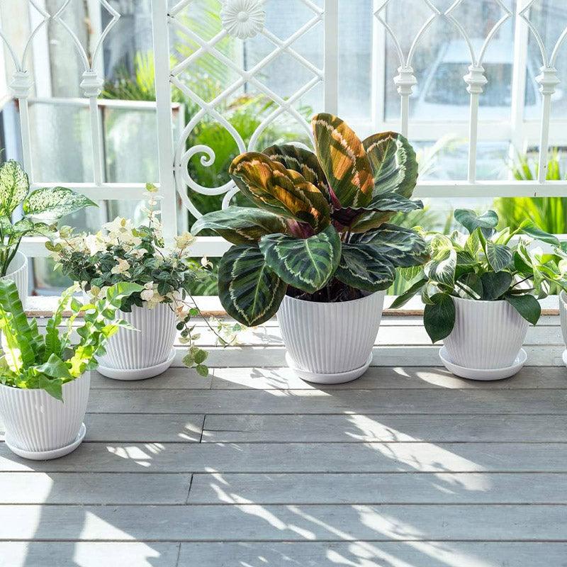 Pots, Planters & Accessories: 6PCS Simple Plastic Round Plant Pots Vertical Stripes Flower Pot Green Gardening - Green