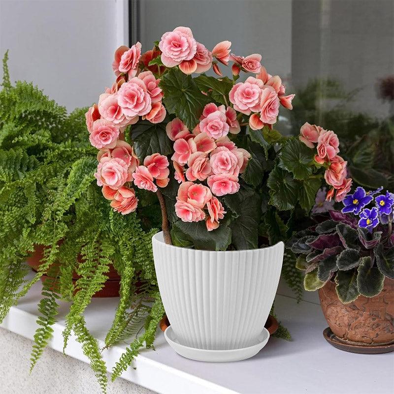 Pots, Planters & Accessories: 6PCS Simple Plastic Round Plant Pots Vertical Stripes Flower Pot Green Gardening - Green