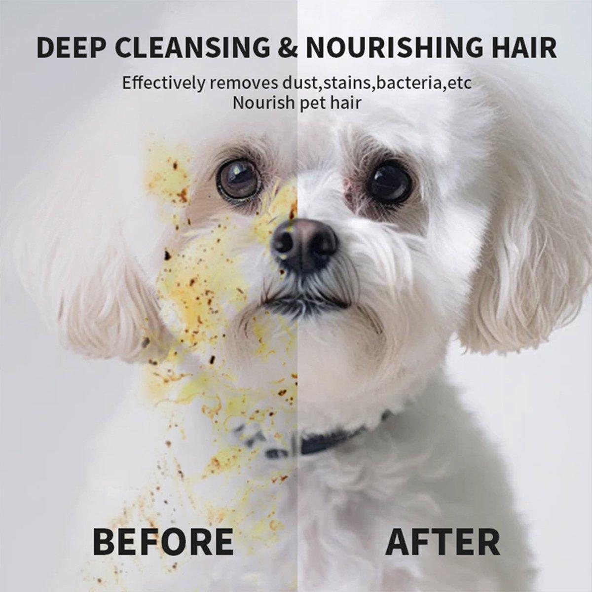 Reptile & Amphibian Habitats: Cat Dog Cleaning Gloves Wipes Fur Disposable Face Washing Grooming