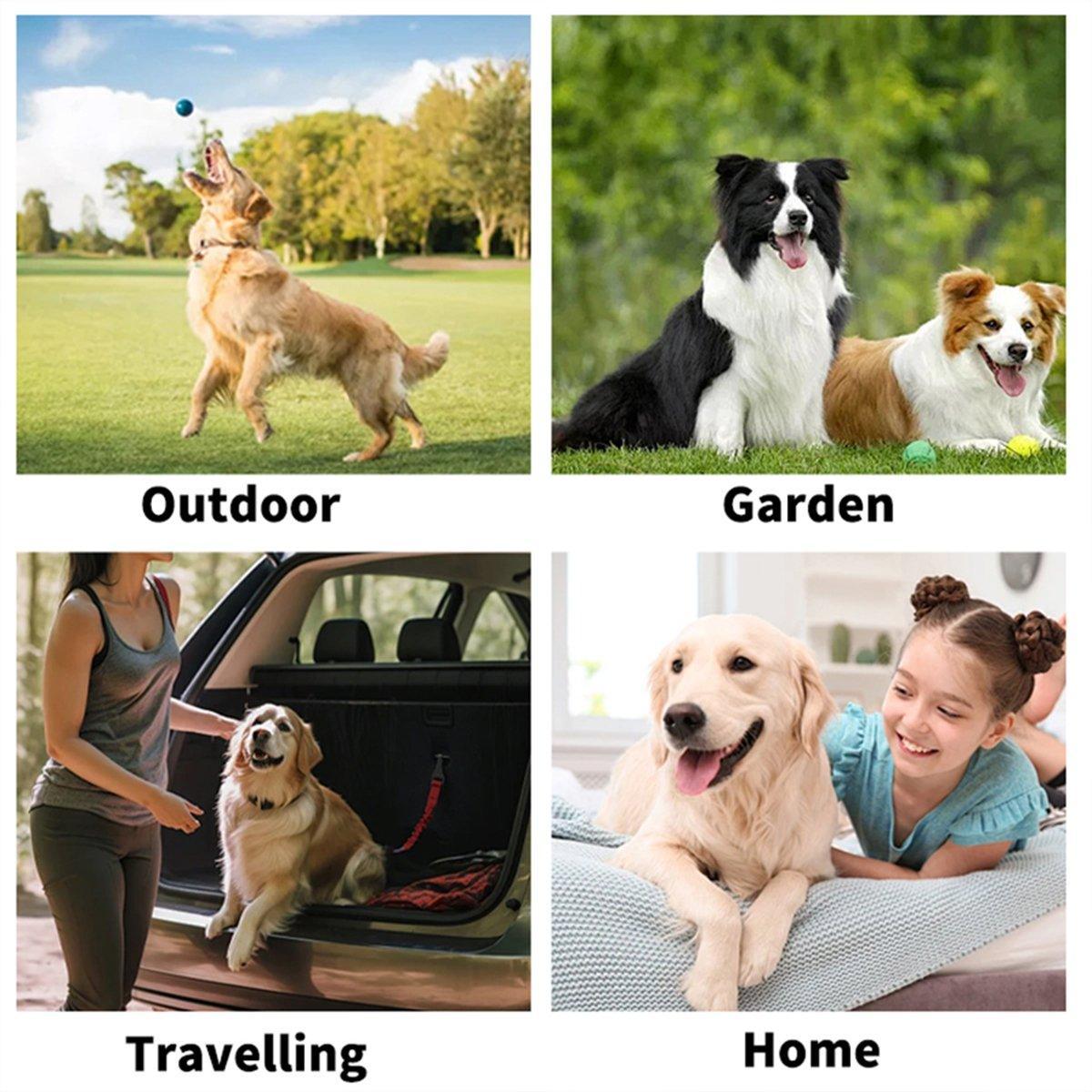 Reptile & Amphibian Habitats: Cat Dog Cleaning Gloves Wipes Fur Disposable Face Washing Grooming
