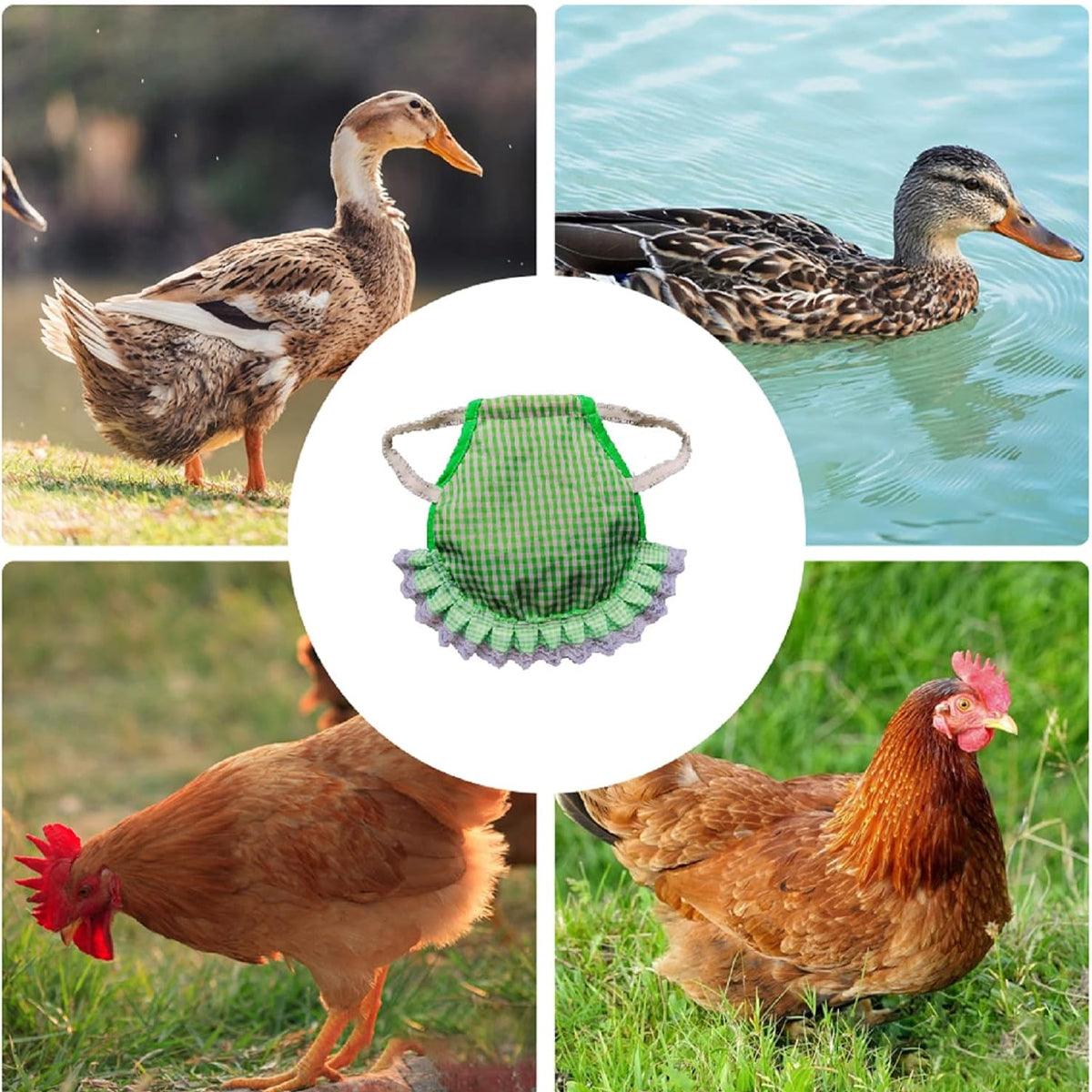 Farm Equipment: 5pcs Pet Feather Protector Hen Apron Poultry Protection Apron for Chickens Birds