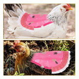 Farm Equipment: 5pcs Pet Feather Protector Hen Apron Poultry Protection Apron for Chickens Birds