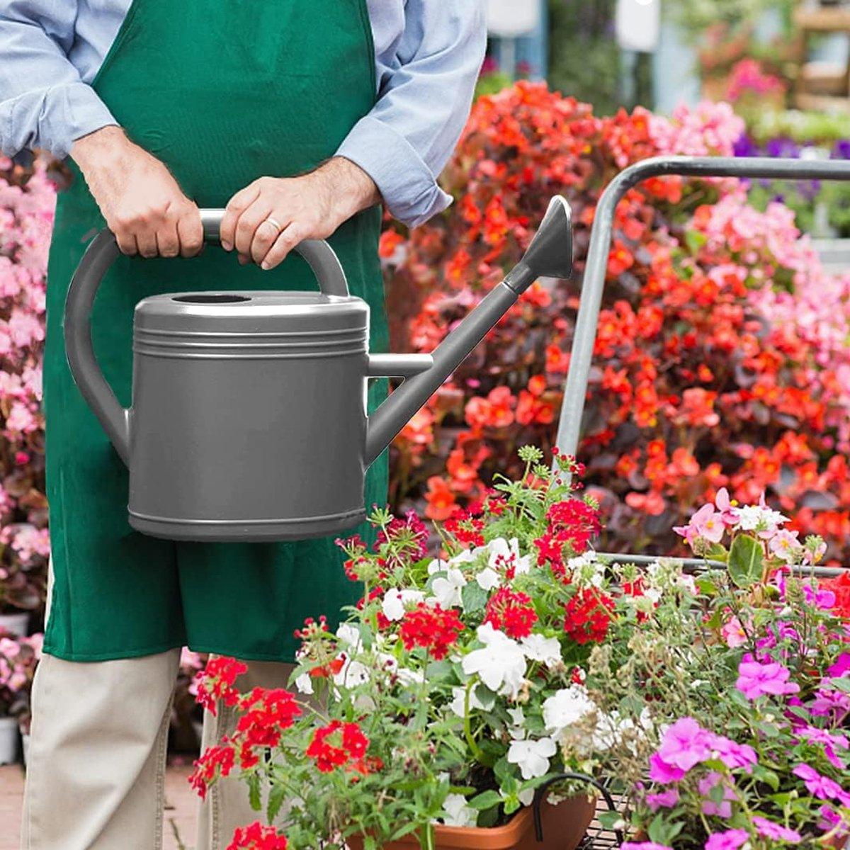 Gardening Tools: 3L Gray Retro Watering Can Long Spout Large Capacity Shower Kettle for Garden