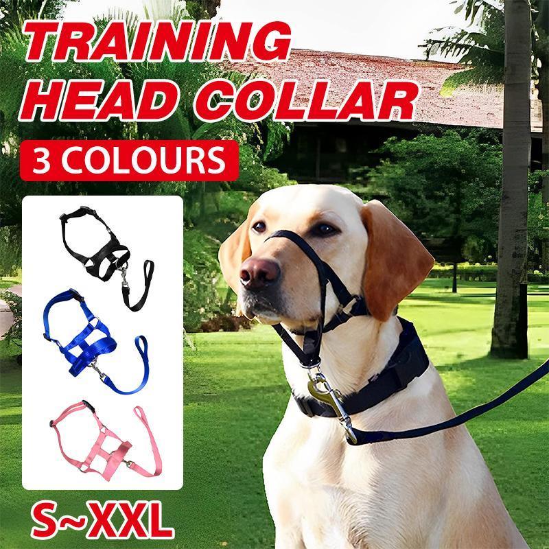 Dog Muzzles: Pink Dog Training Head Collar Halter Stop Pulling Training Tool Harness Strap Leader - S
