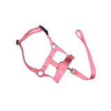 Dog Muzzles: Pink Dog Training Head Collar Halter Stop Pulling Training Tool Harness Strap Leader - S