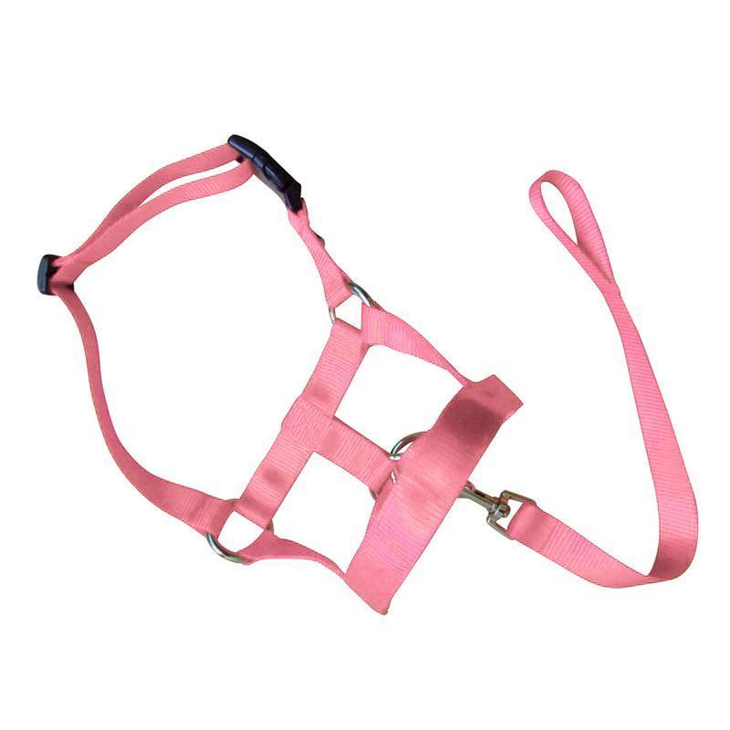 Dog Muzzles: Pink Dog Training Head Collar Halter Stop Pulling Training Tool Harness Strap Leader - S