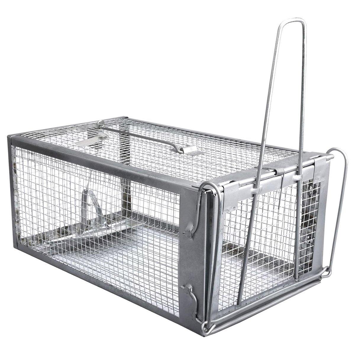 Animal Traps: Humane Rat Trap Cage Live 1 Door Animal Catch Pest Rodent Mouse Bait Control Box