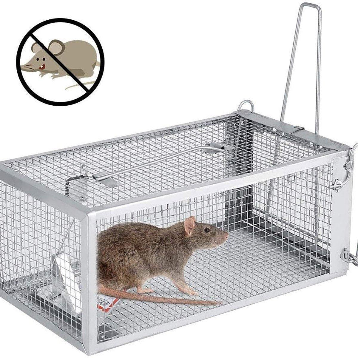 Animal Traps: Humane Rat Trap Cage Live 1 Door Animal Catch Pest Rodent Mouse Bait Control Box