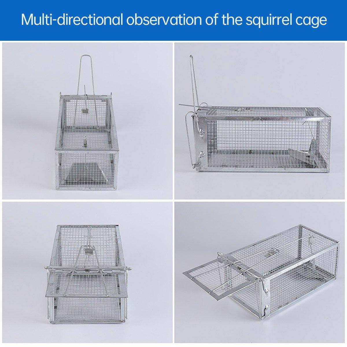 Animal Traps: Humane Rat Trap Cage Live 1 Door Animal Catch Pest Rodent Mouse Bait Control Box