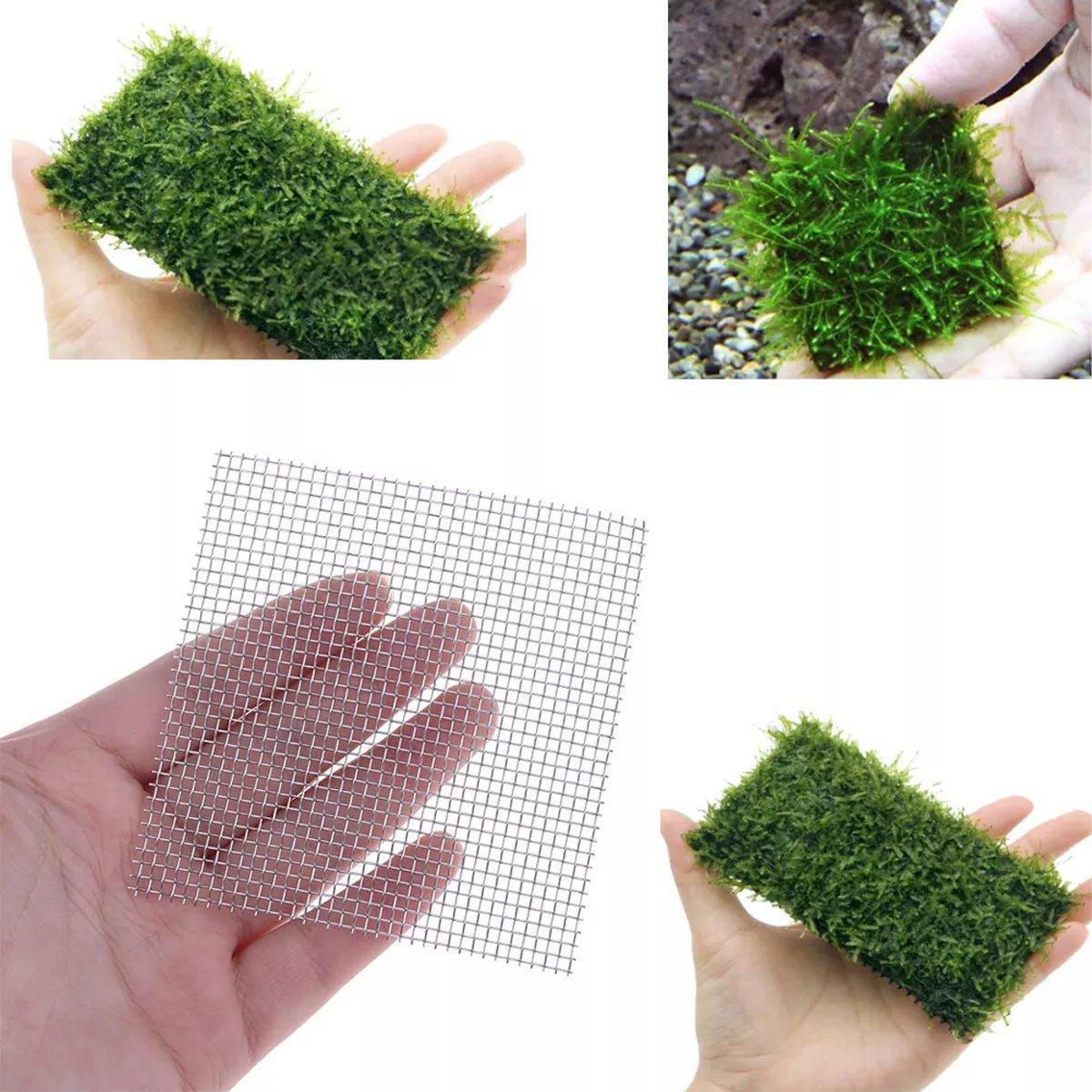 Aquarium Decor: 10pcs Stainless Steel Wire Mesh for Water Plants Fish Tank Aquarium Decoration - 8x8cm