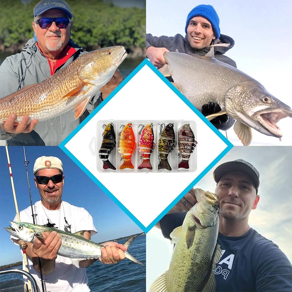 Fishing Tackle: 5PCS Faux Lure Set Fish Hard Fake Bait Fishing Lures Artificial Bait Tackle Gear