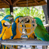 Bird Cage Accessories: Interactive Parrot Toys Nibbling Balls Hoop Swing Bird Chew Play Activity