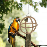 Bird Cage Accessories: Interactive Parrot Toys Nibbling Balls Hoop Swing Bird Chew Play Activity