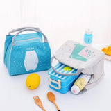Cooler bags: Portable Insulated Thermal Lunch Box Carry Tote Picnic Case Storage Bag 21x17x15cm - C02 (21x17x15cm)