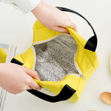 Cooler bags: Portable Insulated Thermal Lunch Box Carry Tote Picnic Case Storage Bag 21x17x15cm - C06 (21x17x15cm)