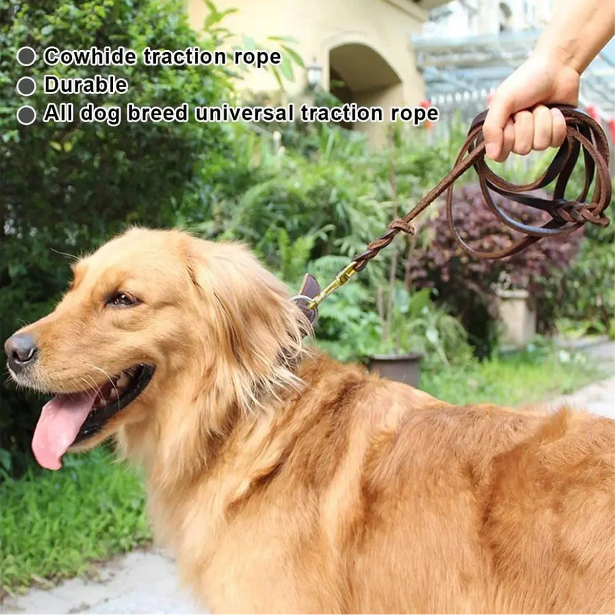 Dog Collars, Leads & Harnesses: Dog Leash Cowhide Lead Heavy Duty Leather M Size Brown For Walking Training - Black