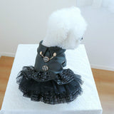 Dog Apparel: Pet Dog Cat Clothes Autumn Winter Fashion Sequin Small Leather Skirt Outfit - XL