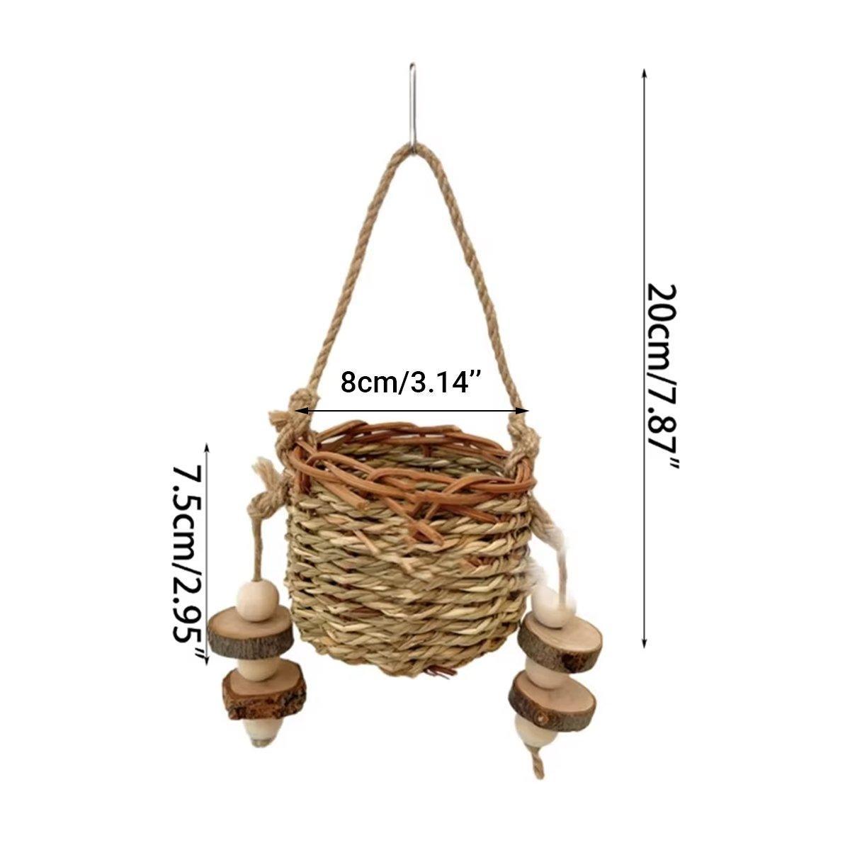 Small Animal Habitats & Cages: Pet Teething Stick Set Chew Toys for Hamster Dental Care Small Animal Supplies