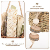Small Animal Habitats & Cages: Pet Teething Stick Set Chew Toys for Hamster Dental Care Small Animal Supplies