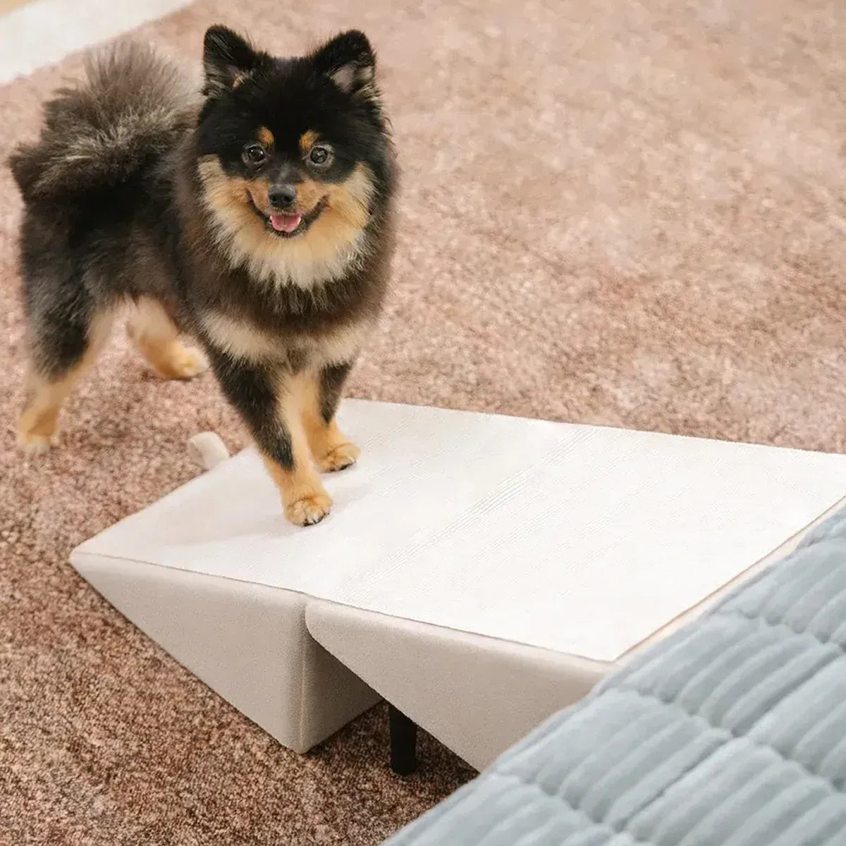 Foldable Pet Ramp Stairs Non Slip for Cats Dogs Home Furniture Safe Comfortable