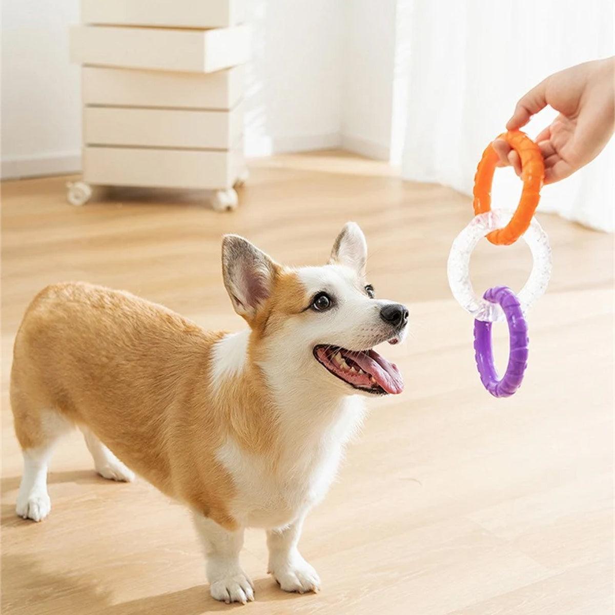 Dog Apparel: Interactive Dog Toys TRP Rubber Ring Teething Pet Rally Ring Chew Play Fetch - Orange-Purple