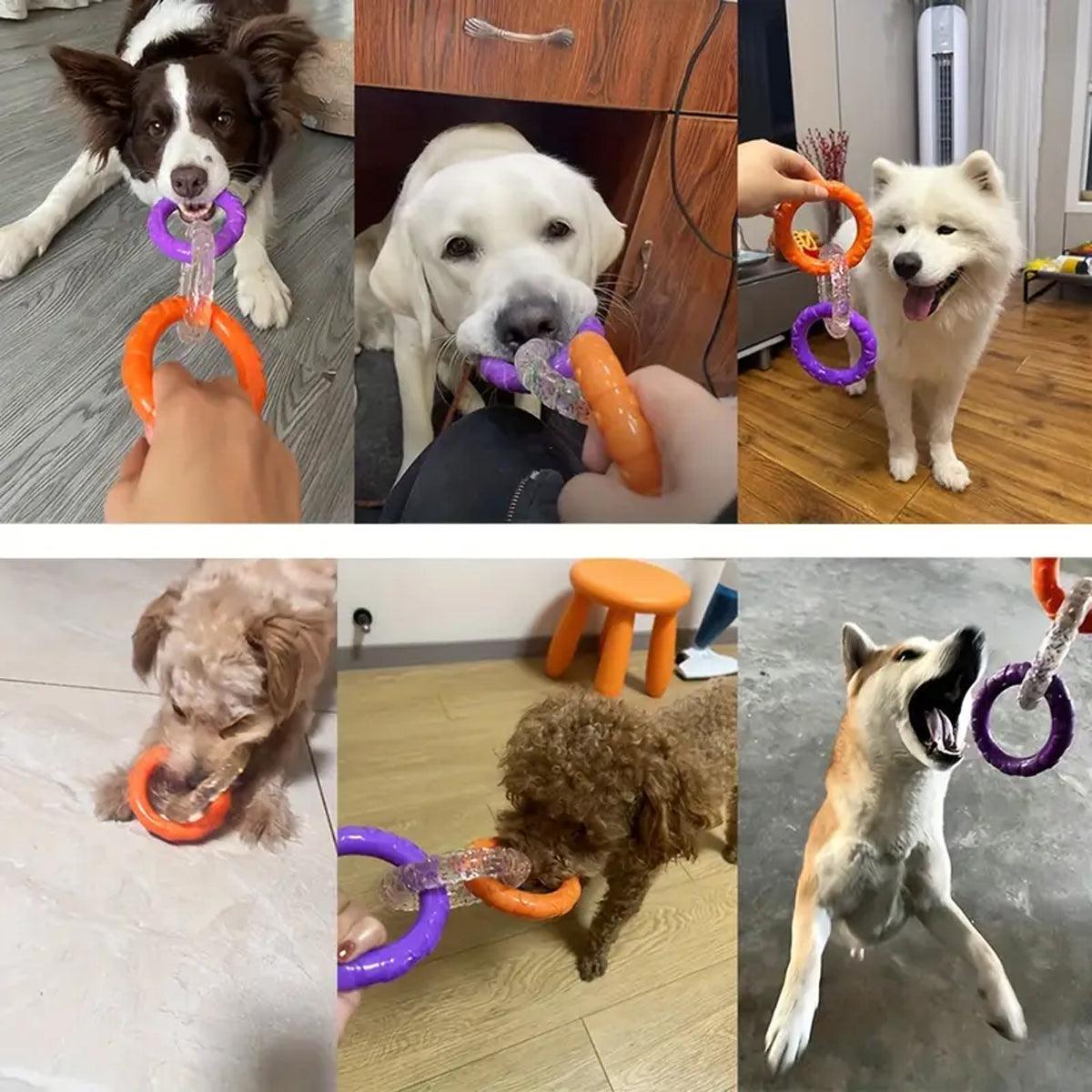 Dog Apparel: Interactive Dog Toys TRP Rubber Ring Teething Pet Rally Ring Chew Play Fetch - Orange-Purple